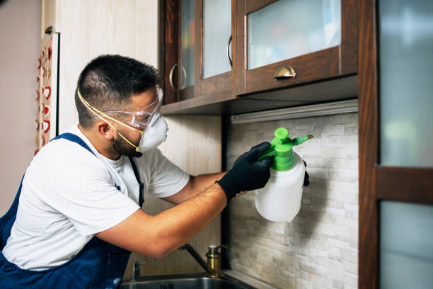 Best Pest Control Near Me in Alderwood Manor, WA