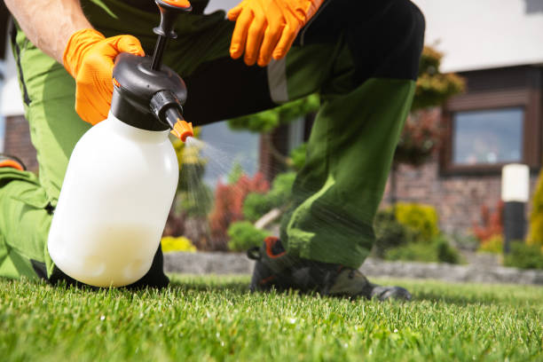 Insect Control in Alderwood Manor, WA