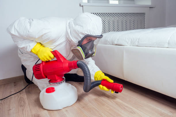 Best Termite Control Services  in Alderwood Manor, WA