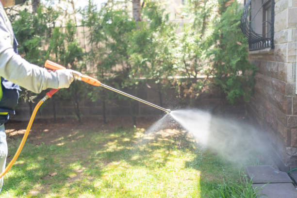 Best Wasp Removal Services  in Alderwood Manor, WA