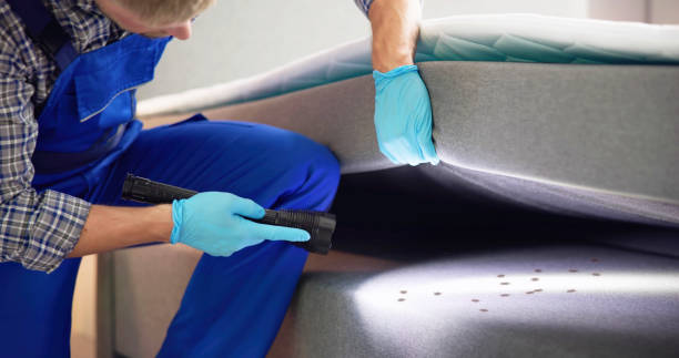 Best Bed Bug Extermination  in Alderwood Manor, WA