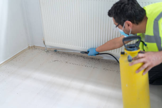 Reliable Alderwood Manor, WA Pest Control Solutions
