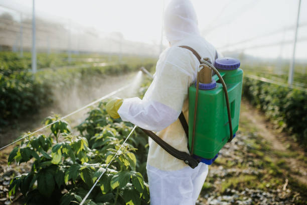 Best Wildlife Control Services  in Alderwood Manor, WA